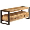 vidaXL TV-Schrank 120x35x45 cm Massivholz Mango