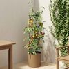 Produkt-Miniaturbild 2 von 6