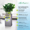LECHUZA Pflanzgef&auml;&szlig; CANTO Stone 30 High ALL-IN-ONE Steingrau