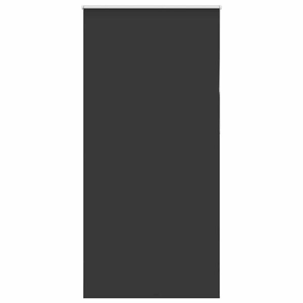vidaXL Verdunkelungsrollo Schwarz 100x210 cm Stoffbreite 95,7 cm