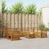 vidaXL Sofagarnituren 10 pcs Natur Massivholz Akazie