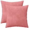vidaXL Kissen mit Kissen HEERLEN 2 Stk. Rosa Samt