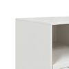 vidaXL TV-Schrank Wei&szlig; 99x39x44 cm Stahl