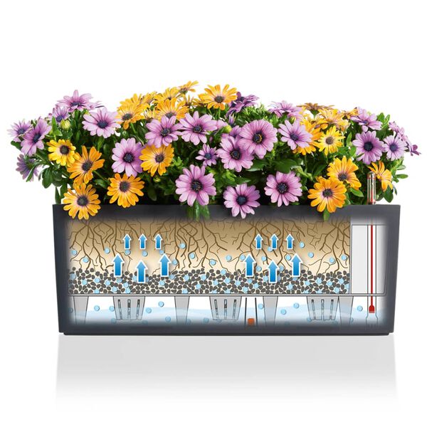 LECHUZA Blumenkasten Balconera Color 50 Komplett-Set Grau 15673