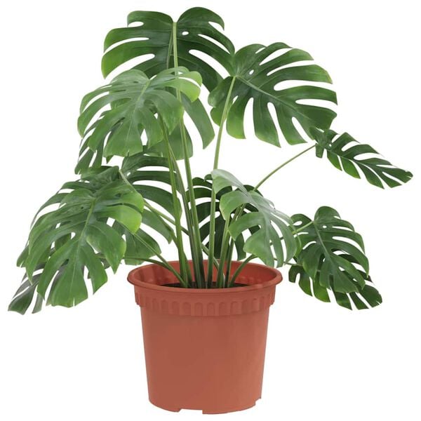 vidaXL Runder Blumentopf 6 pcs Ziegelrot &Oslash; 12,5 x 10 cm Kunststoff