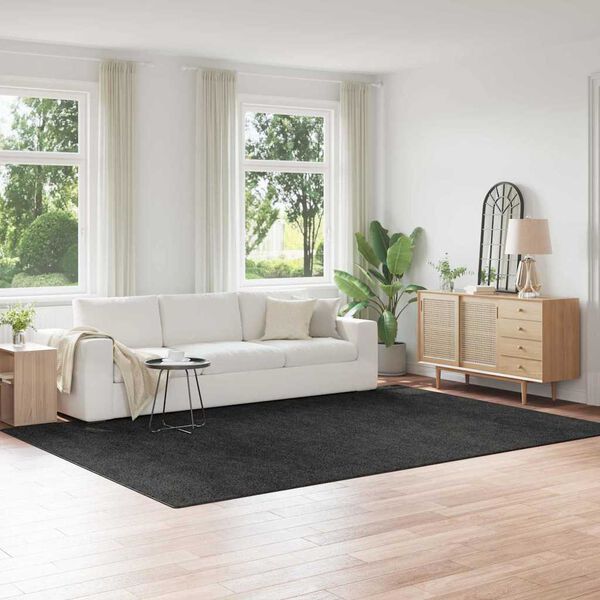vidaXL Anti-Rutsch Shaggy Teppich Dunkelgrau 240 x 340 cm PP