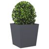 Produkt-Miniaturbild 3 von 10