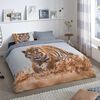 Good Morning Bettw&auml;sche-Set TIGER 200x200/220 cm Mehrfarbig
