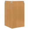 vidaXL H&auml;ngeschrank Altes Holz und Wei&szlig; 57 x 57 x 100 cm Holzwerkstoff