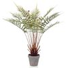 Emerald Kunstpflanze Dicksonia Farn im Topf 60 cm
