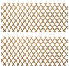 vidaXL Erweiterbarer Spalierzaun 2 stk. 100 x 105 cm Bambus Hellbraun