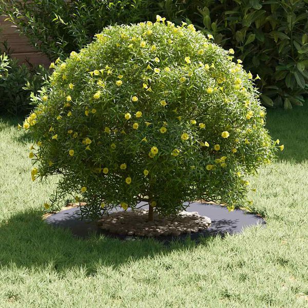 vidaXL geeignet f&uuml;r flache Baumringe 5 pcs Anthrazit &Oslash;30 / 60 cm Stahl