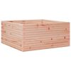vidaXL Pflanzk&uuml;bel 100x100x46 cm Massivholz Douglasie