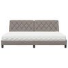 vidaXL Bett mit Matratze Taupe 200x200 cm Stoff