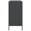 vidaXL Sideboard Schwarz 68x39x79 cm Stahl