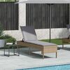 vidaXL Sonnenliege mit Auflage Beige 55x200x44 cm Poly Rattan