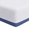 vidaXL Matratze Mittelfest 120 x 200 cm Wei&szlig; und Blau