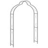 vidaXL Rosenbogen Schwarz 150 x 34 x 240 cm Eisen