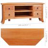 vidaXL TV-Schrank 100x40x45 cm Massivholz Mahagoni