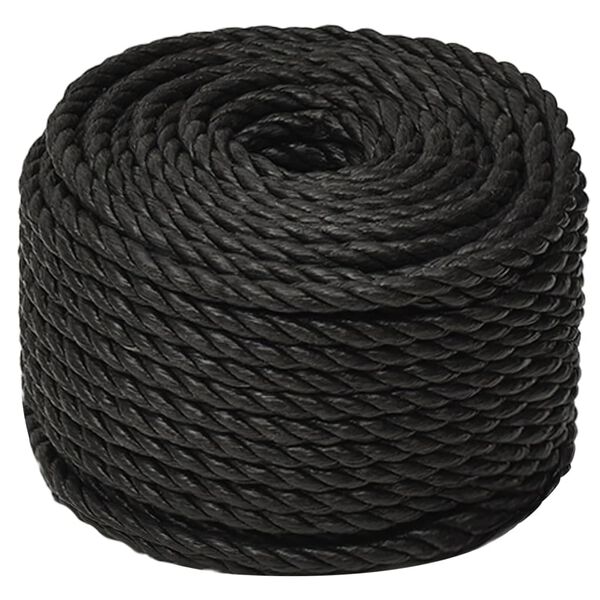 vidaXL Arbeitsseil Schwarz 14 mm 100 m Polypropylen