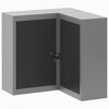 vidaXL Werkzeugschrank mit Regal Schwarz und Grau 55 x 55 x 55 cm