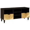 vidaXL TV-Schr&auml;nk Schwarz und Gold 100 x 33 x 46 cm Holzwerkstoff