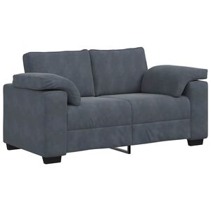 vidaXL Zweisitzer-Sofa Dunkelgrau 160x77x82 cm Samt