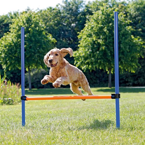 TRIXIE Agility H&uuml;rde 123x115 cm Kunststoff 3207