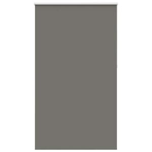 vidaXL Verdunkelungsrollo Grau 125x230cm Stoffbreite 121,6cm Polyester