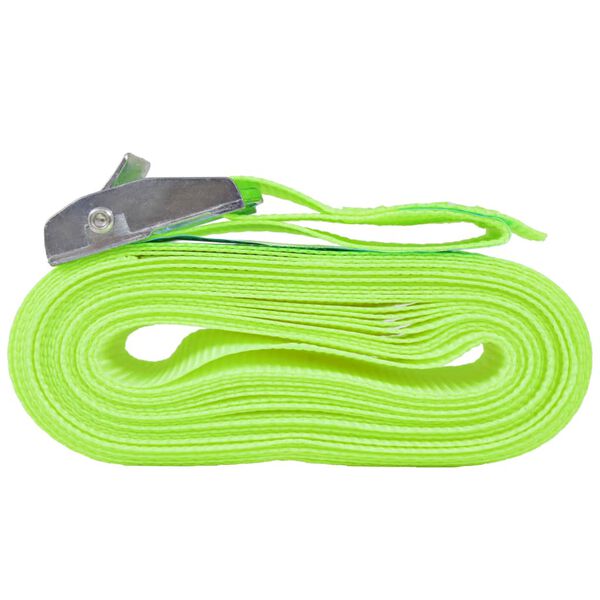 vidaXL Spanngurte 10 Stk. 0,25 Tonnen 5m×25mm Neongrün