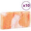 vidaXL Salzsteine 10 pcs Rosa 20 x 2.5 x 10 cm Steinsalz