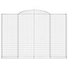 vidaXL Gabionen mit Hochbogen 2 Stk. 300x30x200/220cm Verzinktes Eisen