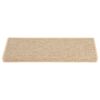 vidaXL Stufenmatten 15 Stk. 65x21x4 cm Hellbeige Rechteckiger Rand