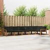 vidaXL Outdoor-Sofagarnitur mit Kissen 6 pcs Nat&uuml;rlich und Schwarz
