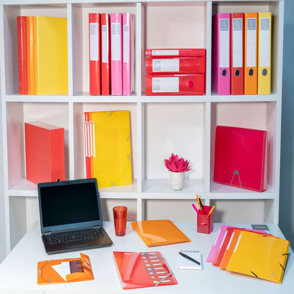 Exacompta Ringb&uuml;cher Iderama A4 mit 2 Ringen 30 mm