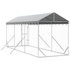 vidaXL Outdoor-Hundezwinger mit Dach Silbern 2x6x2,5m Verzinkter Stahl