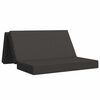 vidaXL Klappsofa Bett 160 x 67 x 45 cm Dunkelgrau