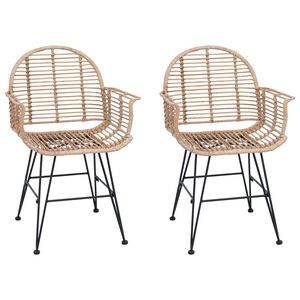 vidaXL Esszimmerstuhl 2 pcs Natur 44 x 44 x 74 cm Rattan und Eisen