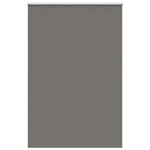 vidaXL Verdunkelungsrollo Grau 160x210cm Stoffbreite 156,6cm Polyester