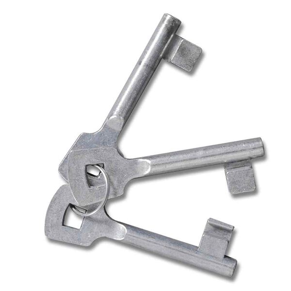 vidaXL Gartengitter f&uuml;r Tor Zaun T&uuml;r und Wand 300 x 175 cm