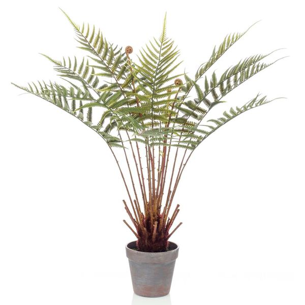 Emerald Kunstpflanze Dicksonia Farn im Topf 60 cm