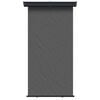 vidaXL Balkon Seitenmarkise 170 x 250 cm 100% Polyester Eisen Stahl