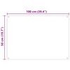 vidaXL K&uuml;chenr&uuml;ckwand 2 pcs Transparent 100 x 50 cm Geh&auml;rtetes Glas
