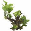 Aqua d'ella Aquariumpflanze Flora Scape 4 Gr&ouml;&szlig;e M 234/432082