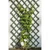 Produkt-Miniaturbild 2 von 6