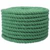 vidaXL Baumwollseil 20 mm 50 m Gr&uuml;n 100% Baumwolle
