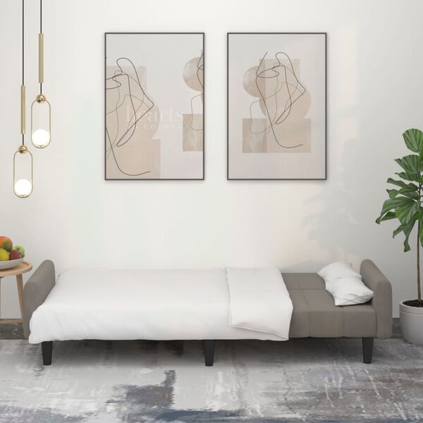 vidaXL Schlafsofa 2-Sitzer Hellgrau Samt