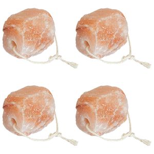 vidaXL Salzlecksteine Rosa Steinsalz