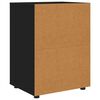 vidaXL Aufbewahrungsschrank Schwarz 60 x 48 x 81 cm Holzwerkstoff