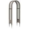 vidaXL Rosenbogen mit Spitzen Grau 97 x 43 x 218 cm PP